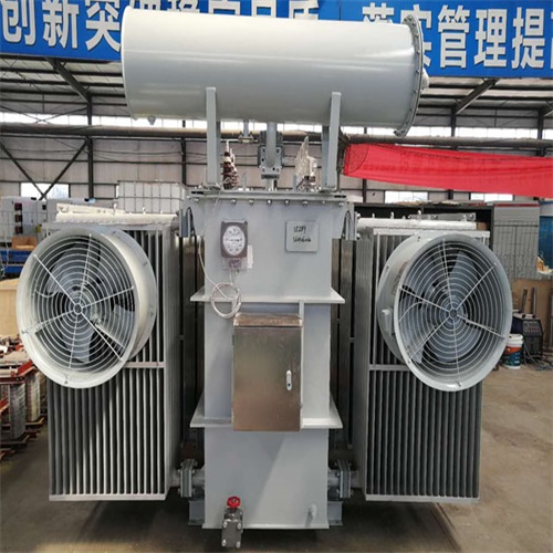 长武10KV油浸式变压器